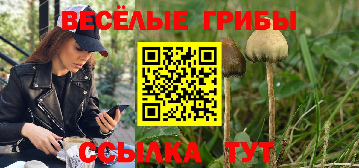 Барнаул  Псилоцибиновые грибы мухоморы  Вход с VPN 