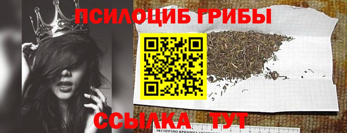 Галлюциногенные грибы Cubensis Барнаул